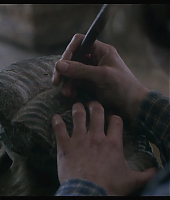 Filename=ammonite_captures_decran_teaser_tiff_tribute_awards_2810029.jpg
Filesize=240KiB
Dimensions=1920x1088
Date added=Nov 19, 2020 ammonite_captures_decran_teaser_tiff_tribute_awards_2810029.jpg