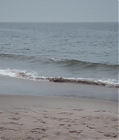 Filename=wonder_wheel_blu_ray_2834429.jpg
Filesize=301KiB
Dimensions=1920x960
Date added=Dec 11, 2020 wonder_wheel_blu_ray_2834429.jpg