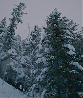 la_montagne_entre_nous_blu_ray_28111329.jpg