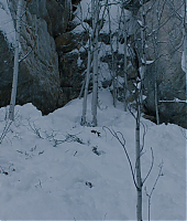 la_montagne_entre_nous_blu_ray_28111629.jpg