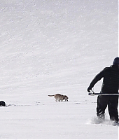 Filename=la_montagne_entre_nous_amour_et_survie_la_creation_de_lalchimie_2811729.jpg
Filesize=250KiB
Dimensions=1280x720
Date added=Dec 30, 2020 la_montagne_entre_nous_amour_et_survie_la_creation_de_lalchimie_2811729.jpg