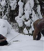 Filename=la_montagne_entre_nous_a_montagne_entre_eux_un_tournage_isole_282129.jpg
Filesize=329KiB
Dimensions=1280x720
Date added=Dec 30, 2020 la_montagne_entre_nous_a_montagne_entre_eux_un_tournage_isole_282129.jpg