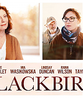 blackbird_affiches_28229.jpg