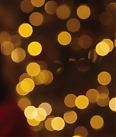 Filename=blackbird_blu_ray_2868729.jpg
Filesize=206KiB
Dimensions=1920x800
Date added=Nov 08, 2020 blackbird_blu_ray_2868729.jpg