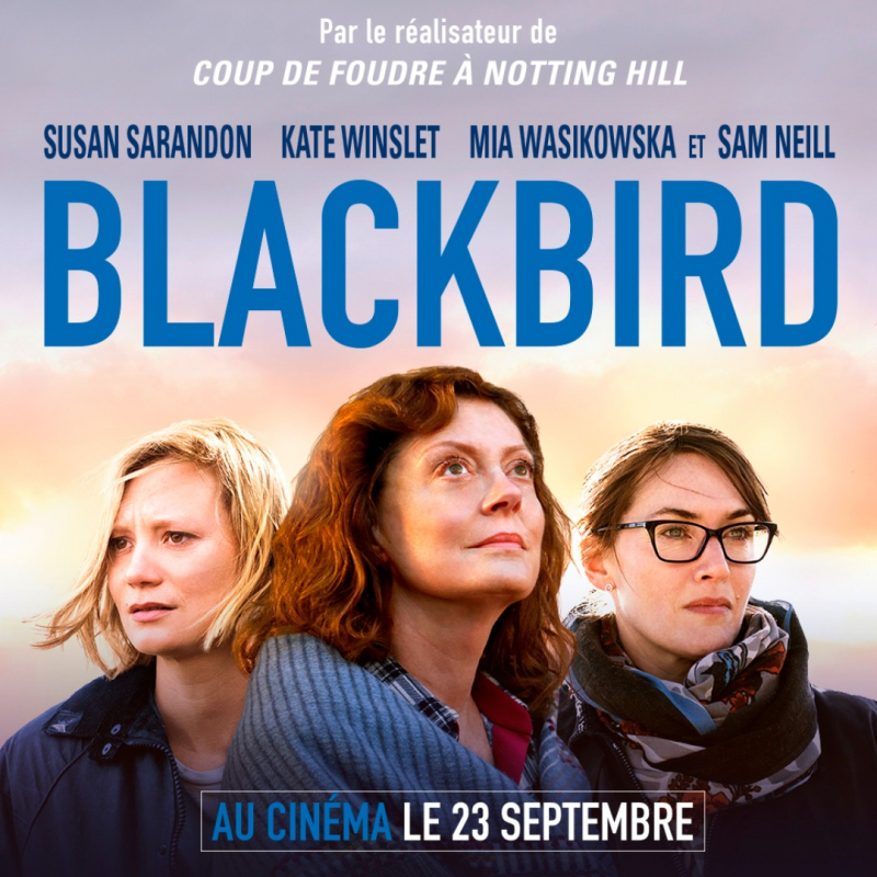 blackbird_reseaux_sociaux_28729.jpg