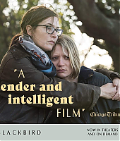 Filename=blackbird_reseaux_sociaux_28929.jpg
Filesize=320KiB
Dimensions=1000x1000
Date added=Dec 15, 2020 blackbird_reseaux_sociaux_28929.jpg